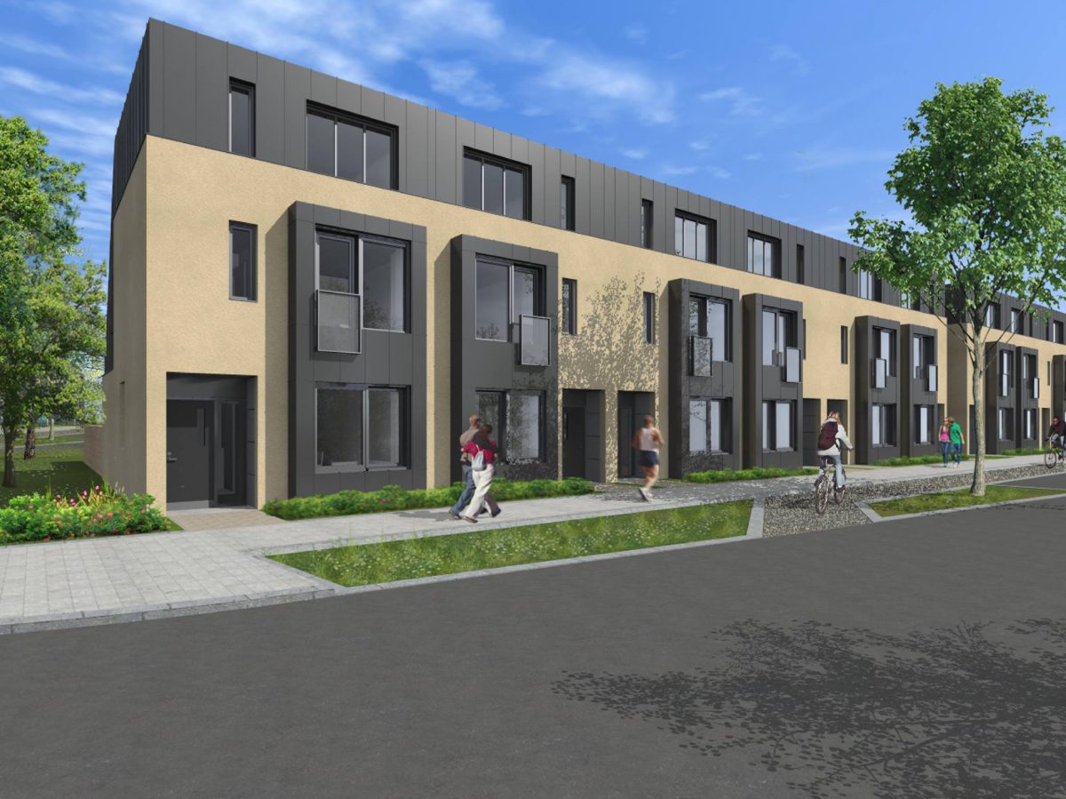 Plot 11