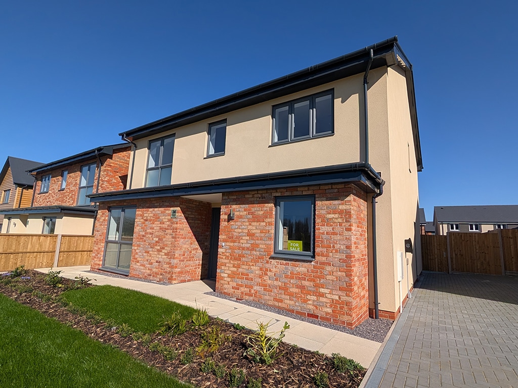 Plot 550
